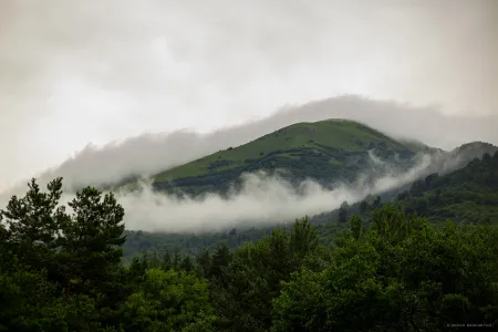 Landscape (IMG-6672)