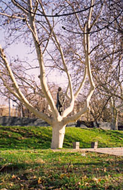 Mikael Nalbandyan